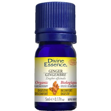 Essential Oil - Organic Ginger (Zingiber officinalis)