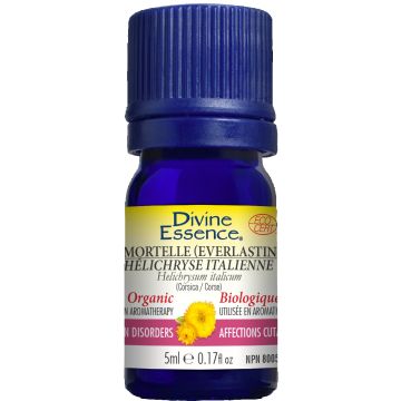 Essential Oil - Immortelle Everlasting (Helichrysum italicum)