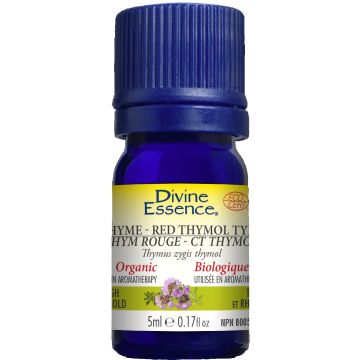 Organic Thymus Zygis Thymol Essential Oil - Coughs and Colds