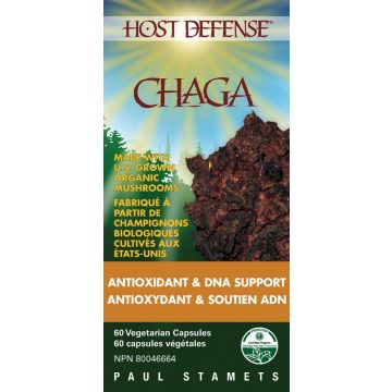 Chaga - Antioxydant et Soutien ADN
