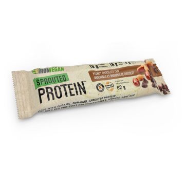 Sprouted Protein Bar - Peanut Chocolate Chip