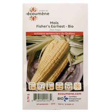 Organic vegetables - Corn fisher's earliest