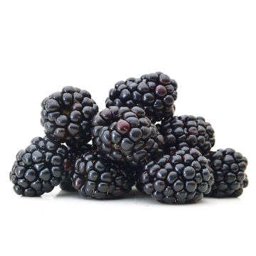 Organic Blackberries  