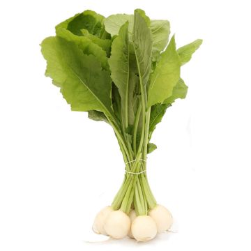 Organic Turnip