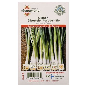  Organic vegetables - Bunching onion parade