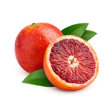 Organic sanguine oranges 