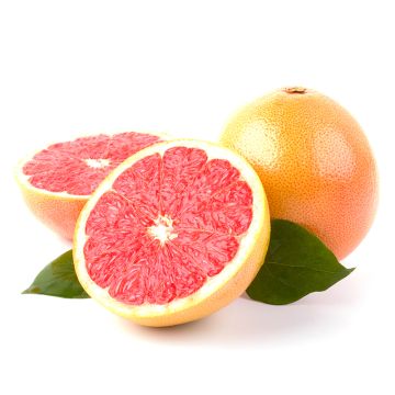 Pamplemousse biologique