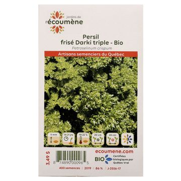 Organic herbs - Triple darki curly parsley