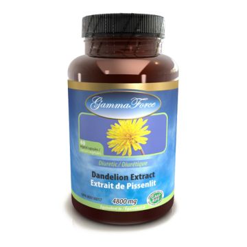 Dandelion Root Extract 10:1 480 mg - Diuretic