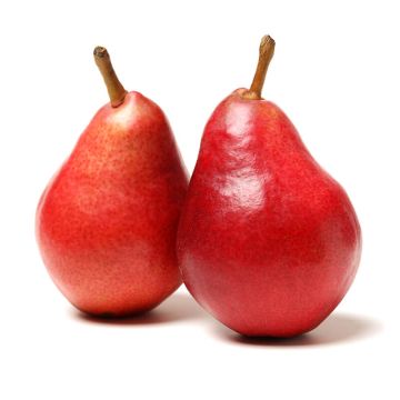 Poire rouge biologique