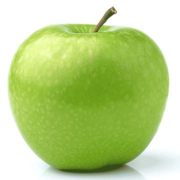 Granny Smith Organic  