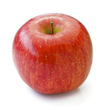 Organic Fuji Apples  
