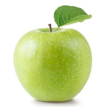Pomme Granny Smith biologique