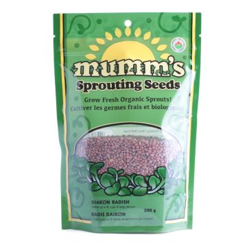 Sprouting seeds - Diakon radish