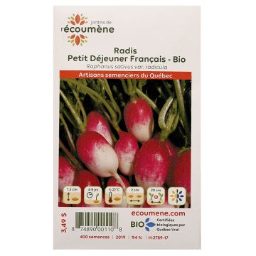 Organic radishes - French breakfast