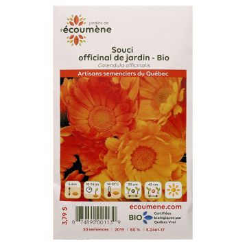 Organic Herbs - Garden Marigold