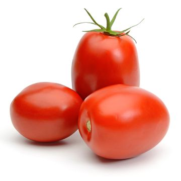 Organic Italian Tomatoes