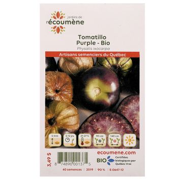 Organic Vegetables - Tomatillo Purple