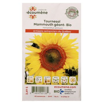 Herbaceous - Organic Giant Mammoth Sunflower
