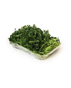 Organic Green Pea Microgreens