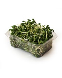 Organic Sunflower Sprouts